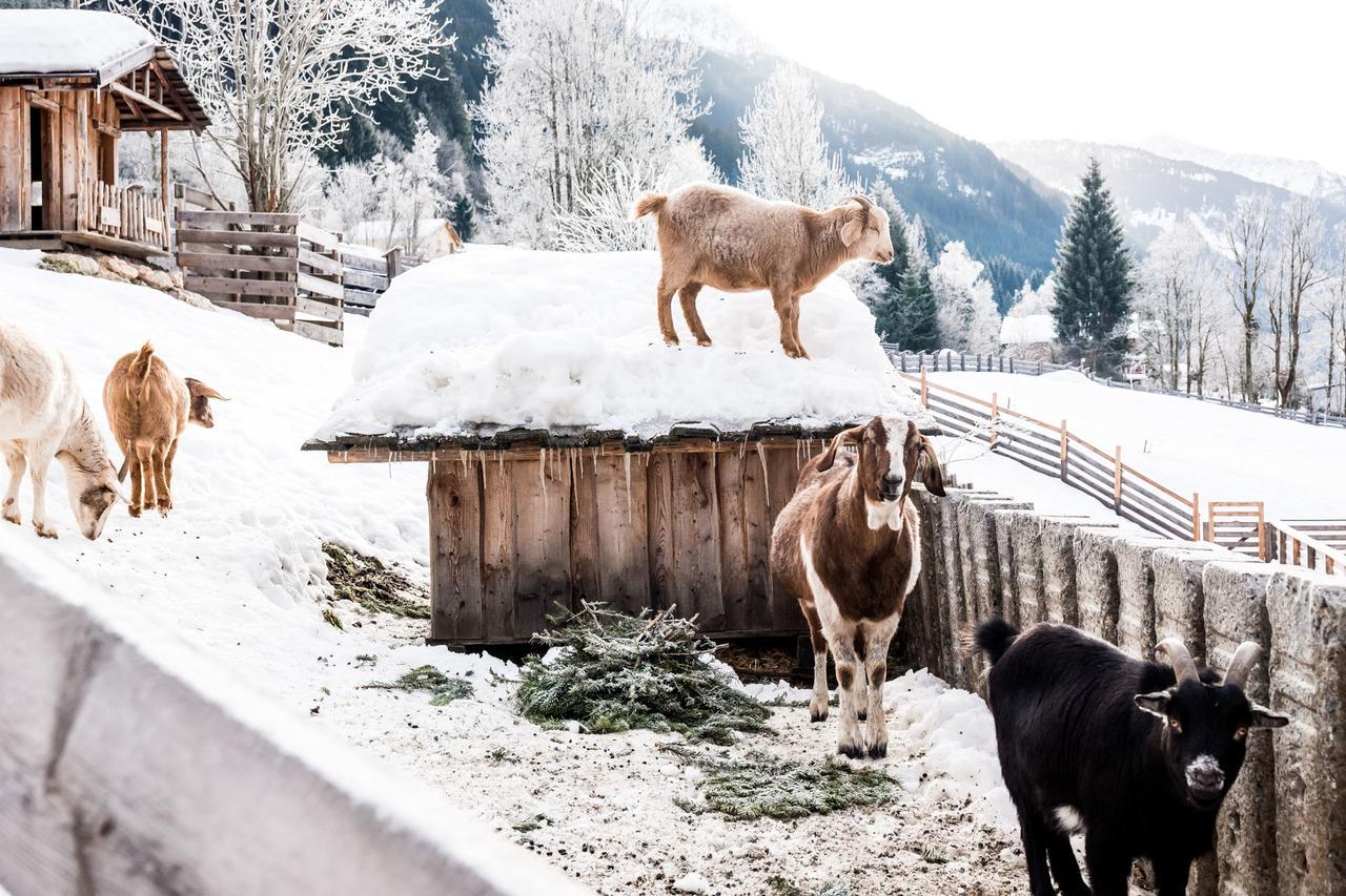 Peakini Farmhaus Villa Untertauern Exterior foto