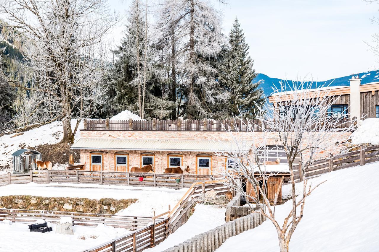 Peakini Farmhaus Villa Untertauern Exterior foto